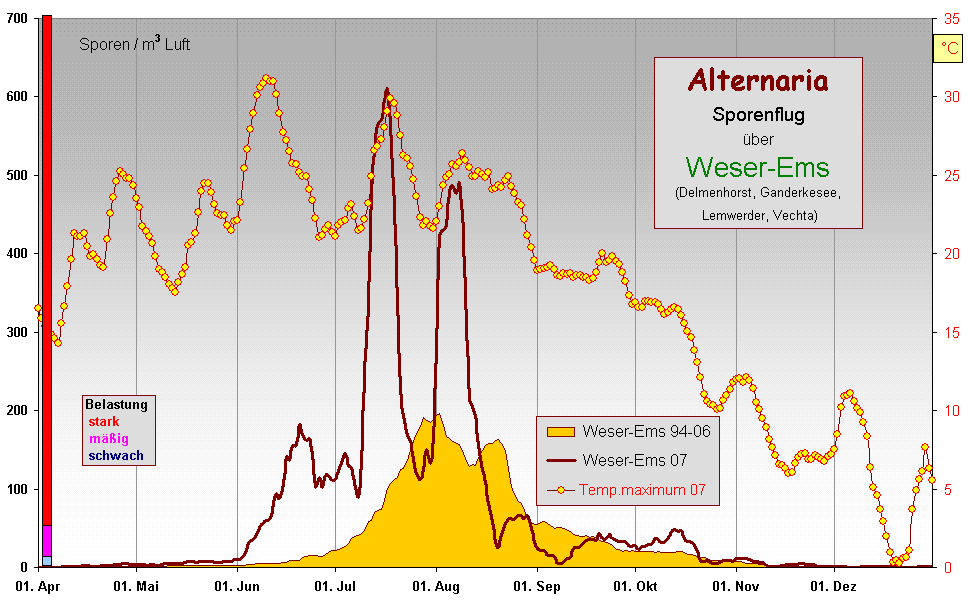 Alt WEms 07