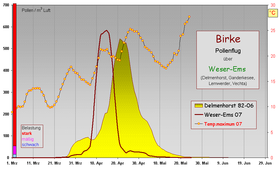 Birke WEms 07