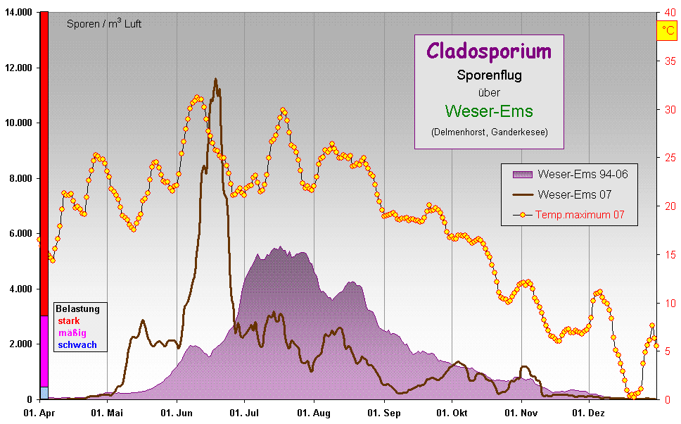 Clad WEms 07