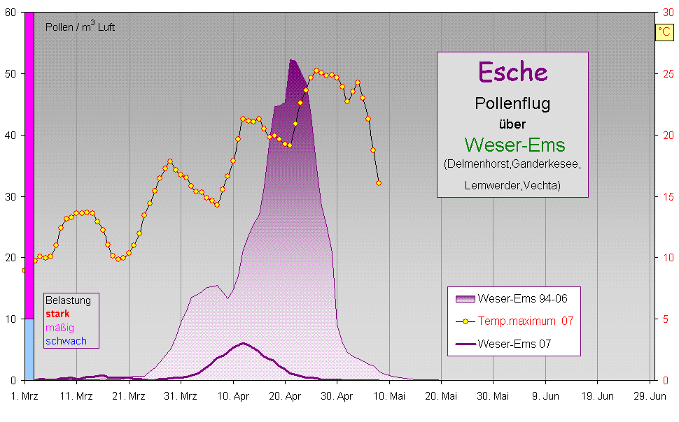 Esche 07