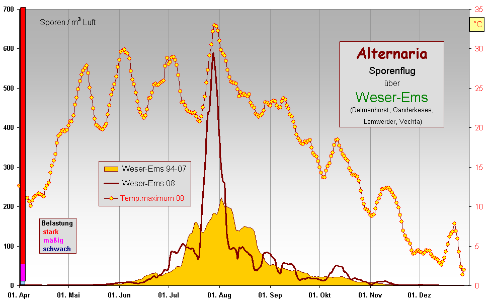 Alt WEms 08