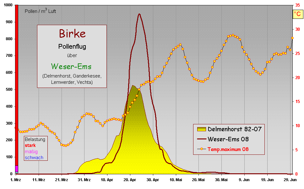 Birke WEms 08