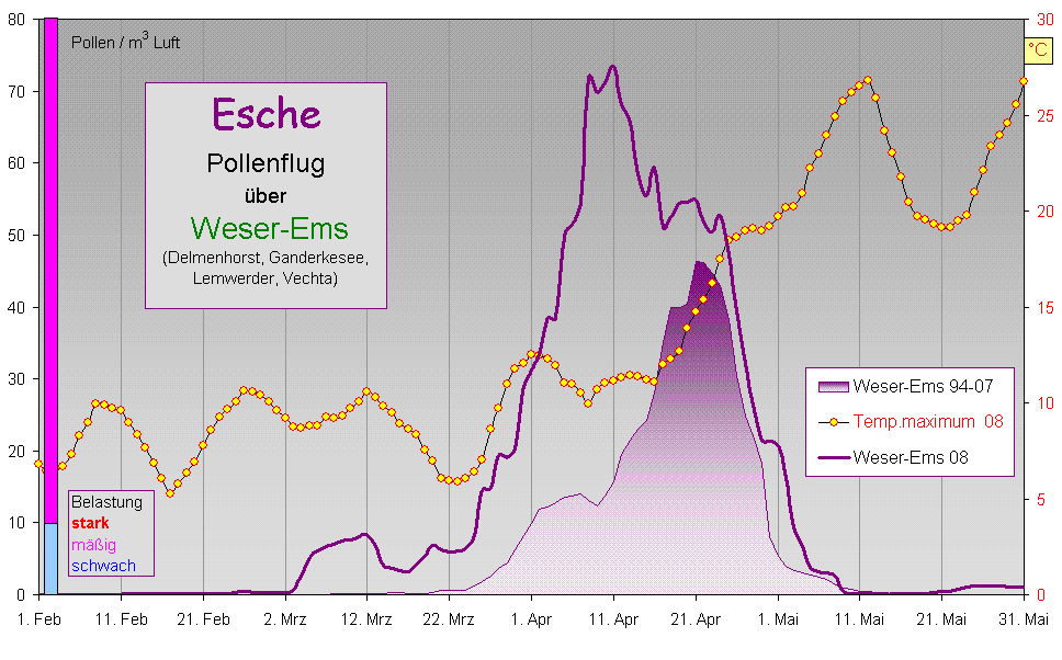 Esche WEms 08