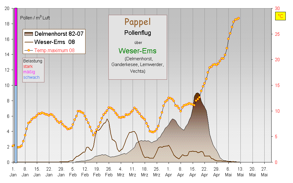 Pappel WEms 08 