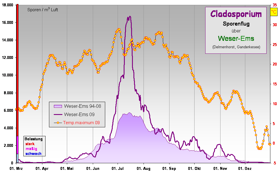 Clad WEms Dia 09 