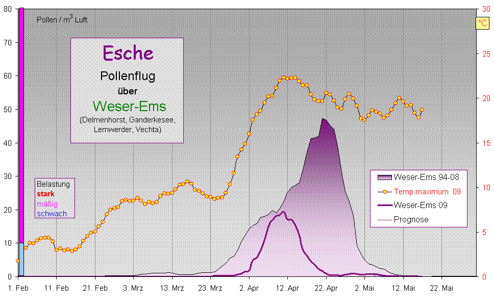 Esche WEms 09 (M)