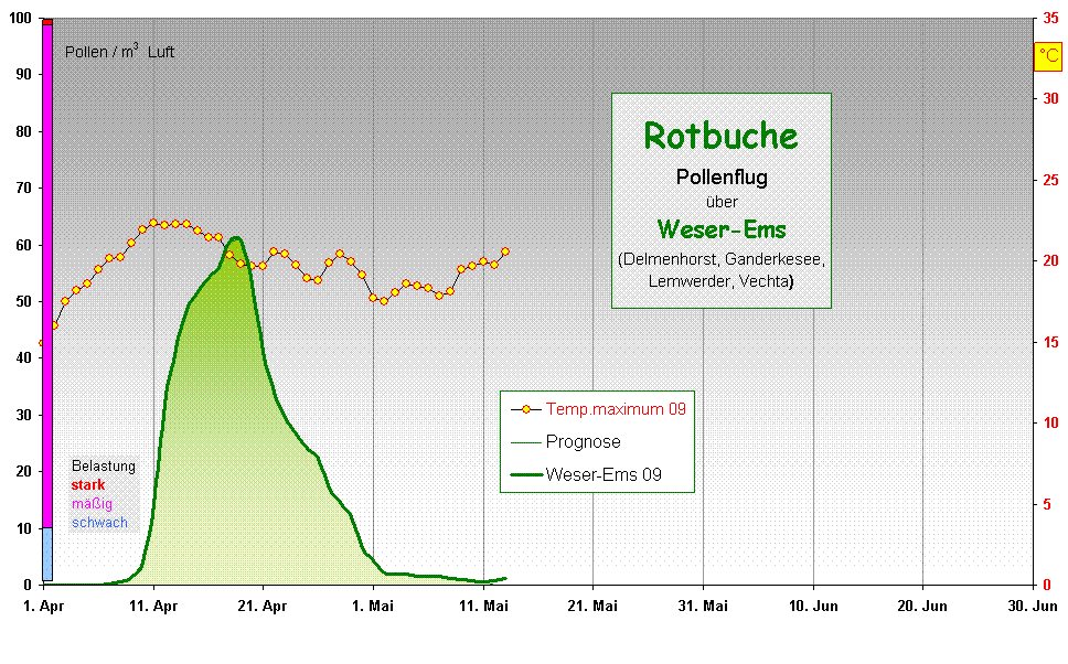 Rotbuche
Pollenflug 
ber 
Weser-Ems
(Delmenhorst, Ganderkesee, 
Lemwerder, Vechta) 

